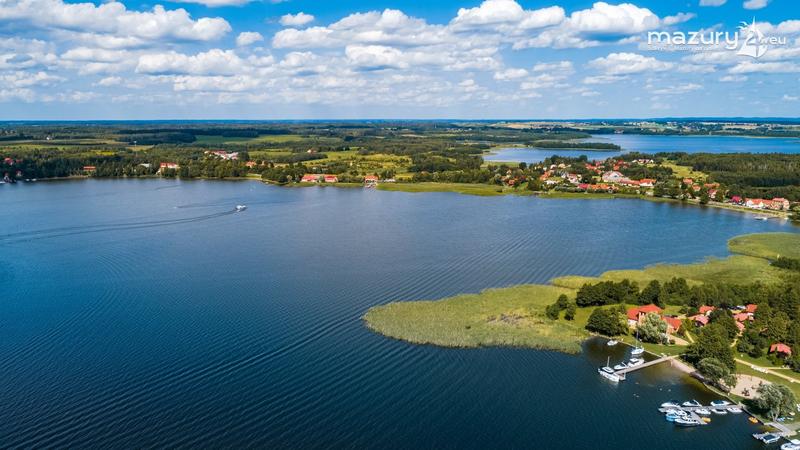 Kulinarne doznania Ogonki